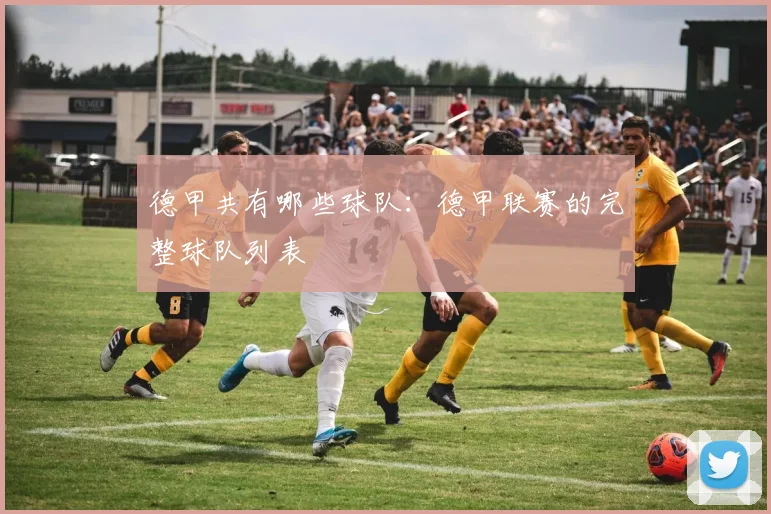 德甲共有哪些球队：德甲联赛的完整球队列表