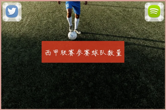 西甲联赛参赛球队数量